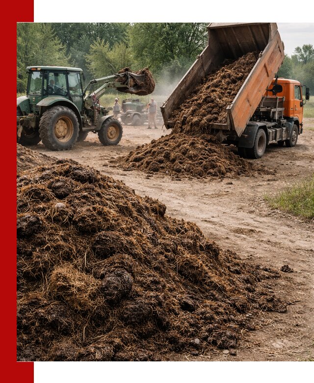 Доставка навоза самосвалами в Гагарине для сельхозпотребностей