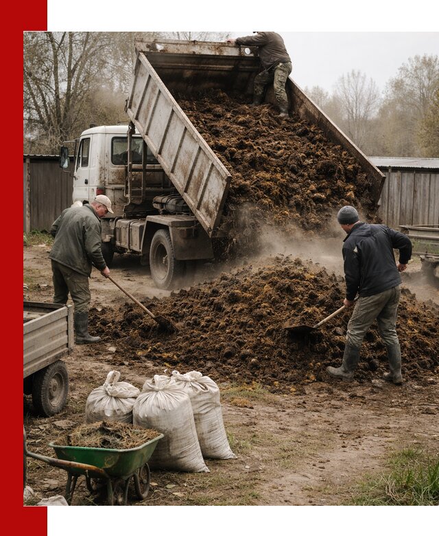Доставка коровьего навоза самосвалом в Гагарине